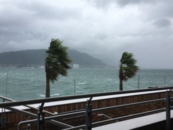 台風 強風 2019.1.27