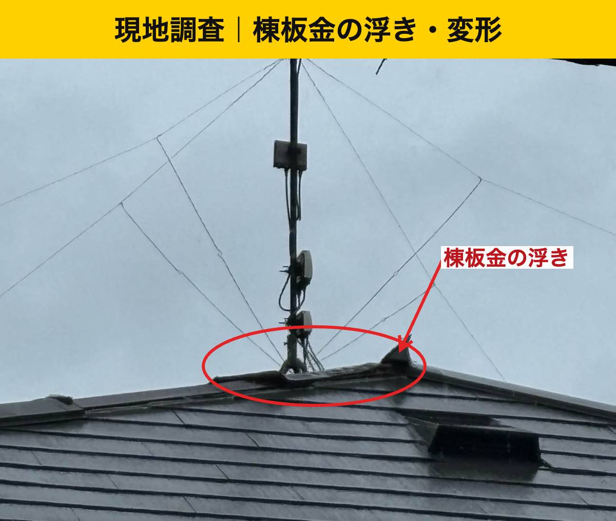 棟板金の飛散、糟屋郡志免町
