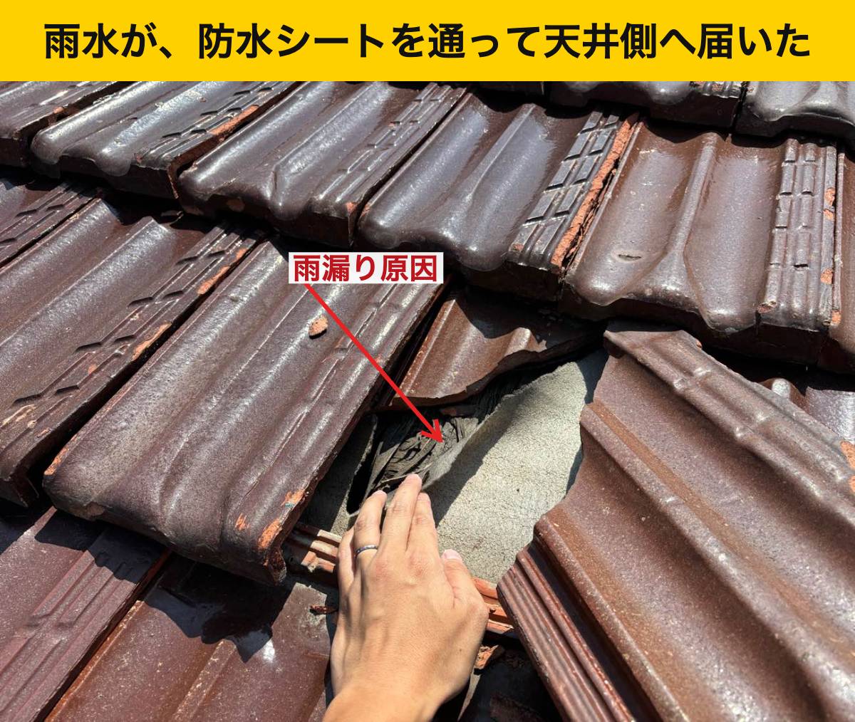 福岡市の屋根工事・雨漏り工事・瓦屋根