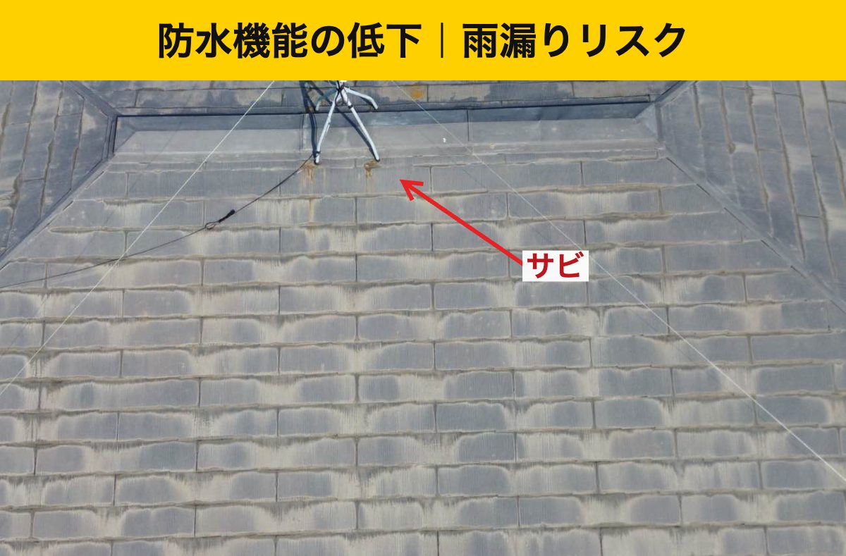 雨漏りリスク