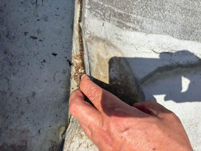 福岡市南区のペットクリニック屋上のシート防水の剥がれ