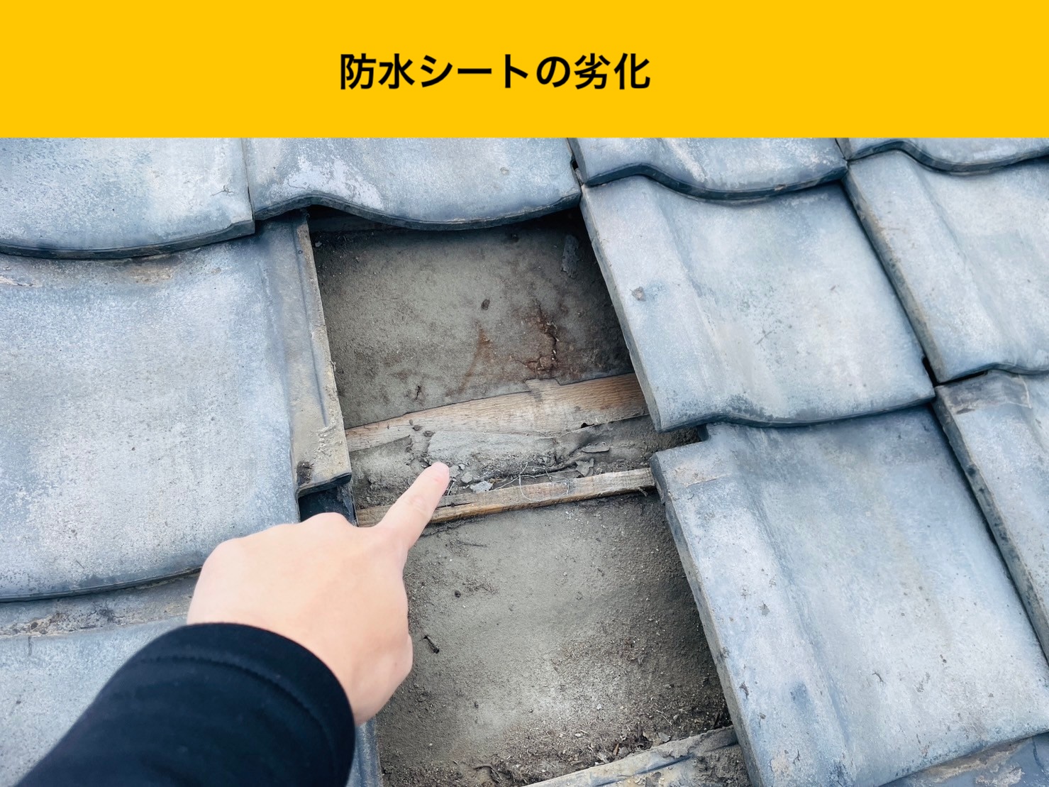 宗像市の屋根調査、防水シートの劣化