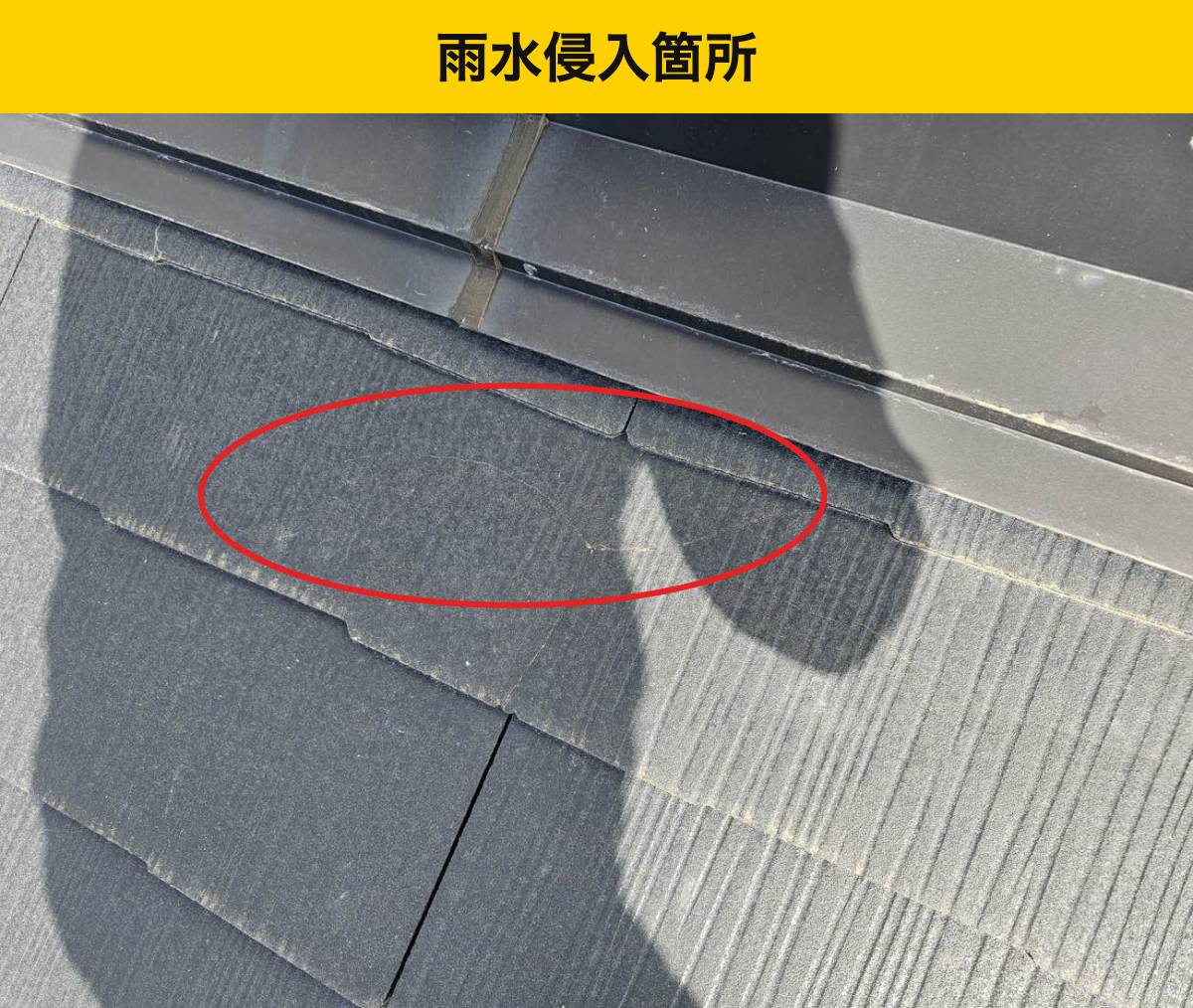 補修できるかは、割れ方や周囲の傷みで判断します