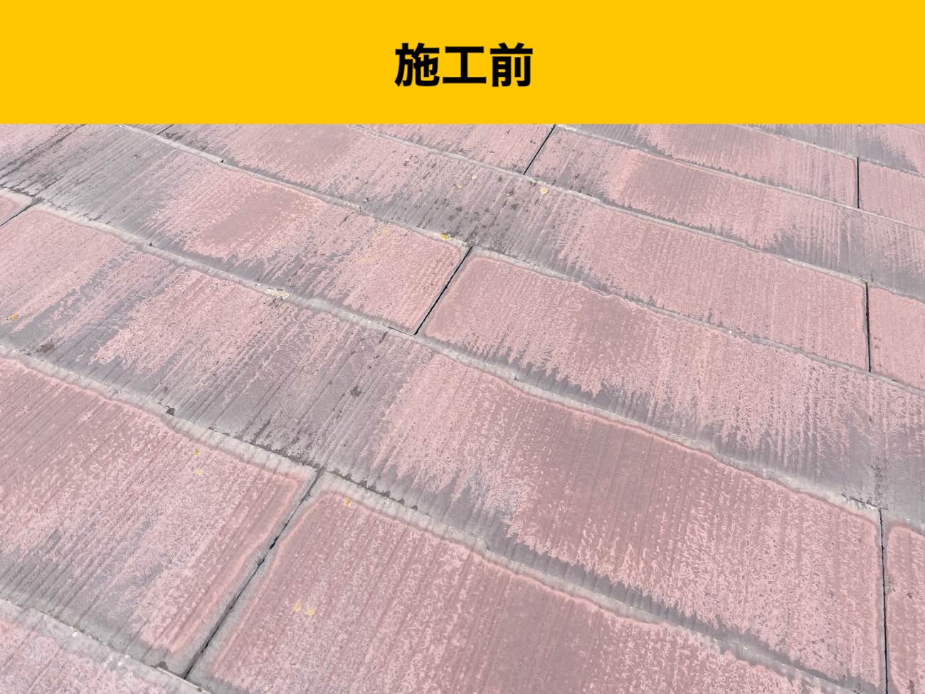 大野城市の屋根の苔