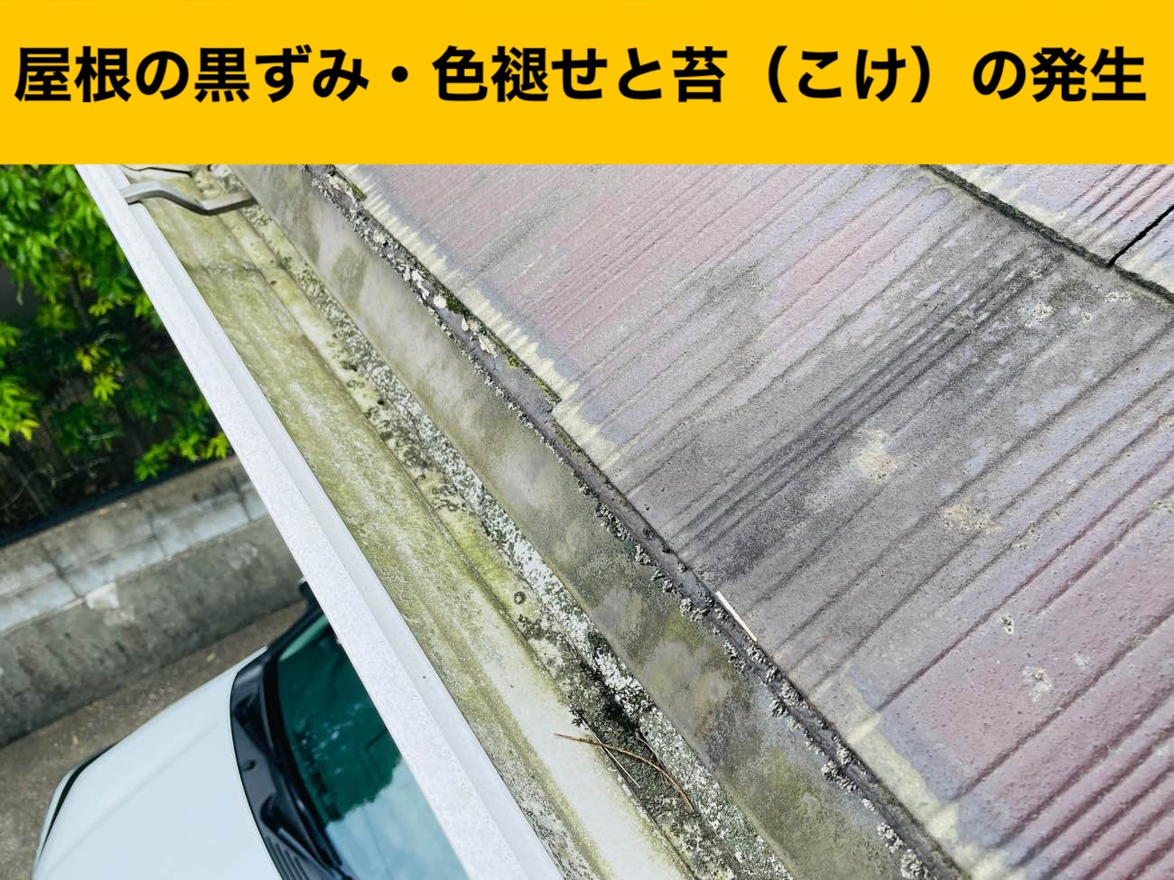 大野城市の屋根の劣化、苔の発生