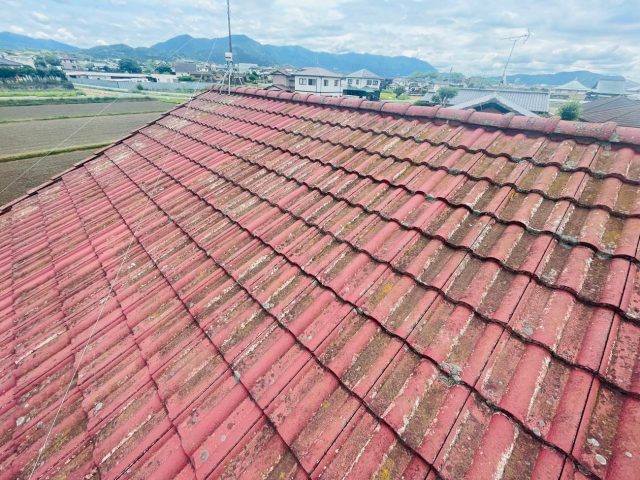 糟屋郡粕屋町の苔が生えた屋根