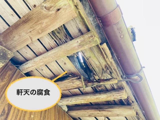 地震被害を受けた屋根、屋根調査