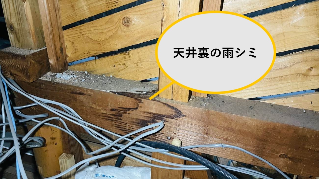 天井裏の雨シミ