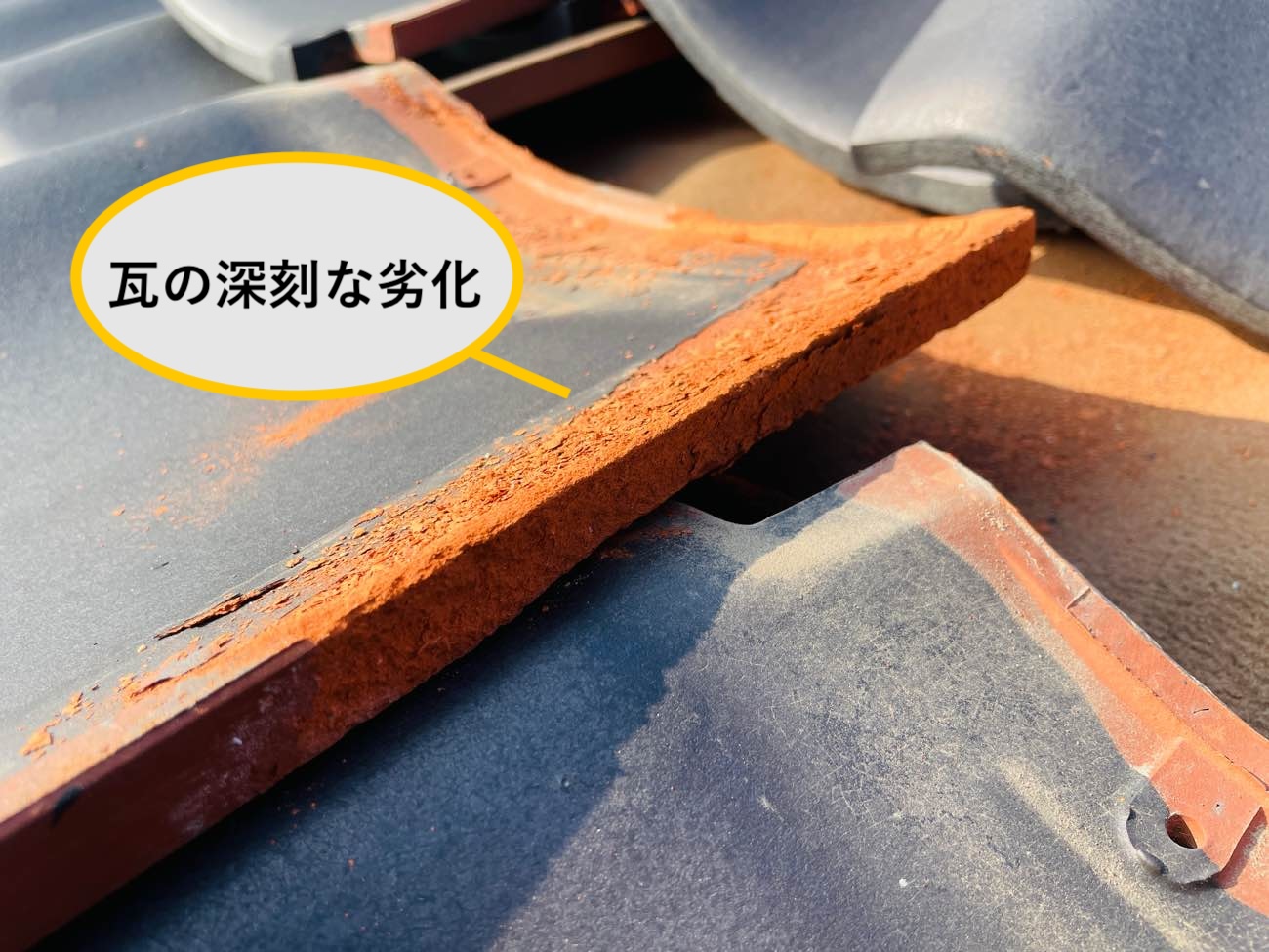 瓦の深刻な劣化