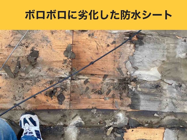 劣化した防水シート