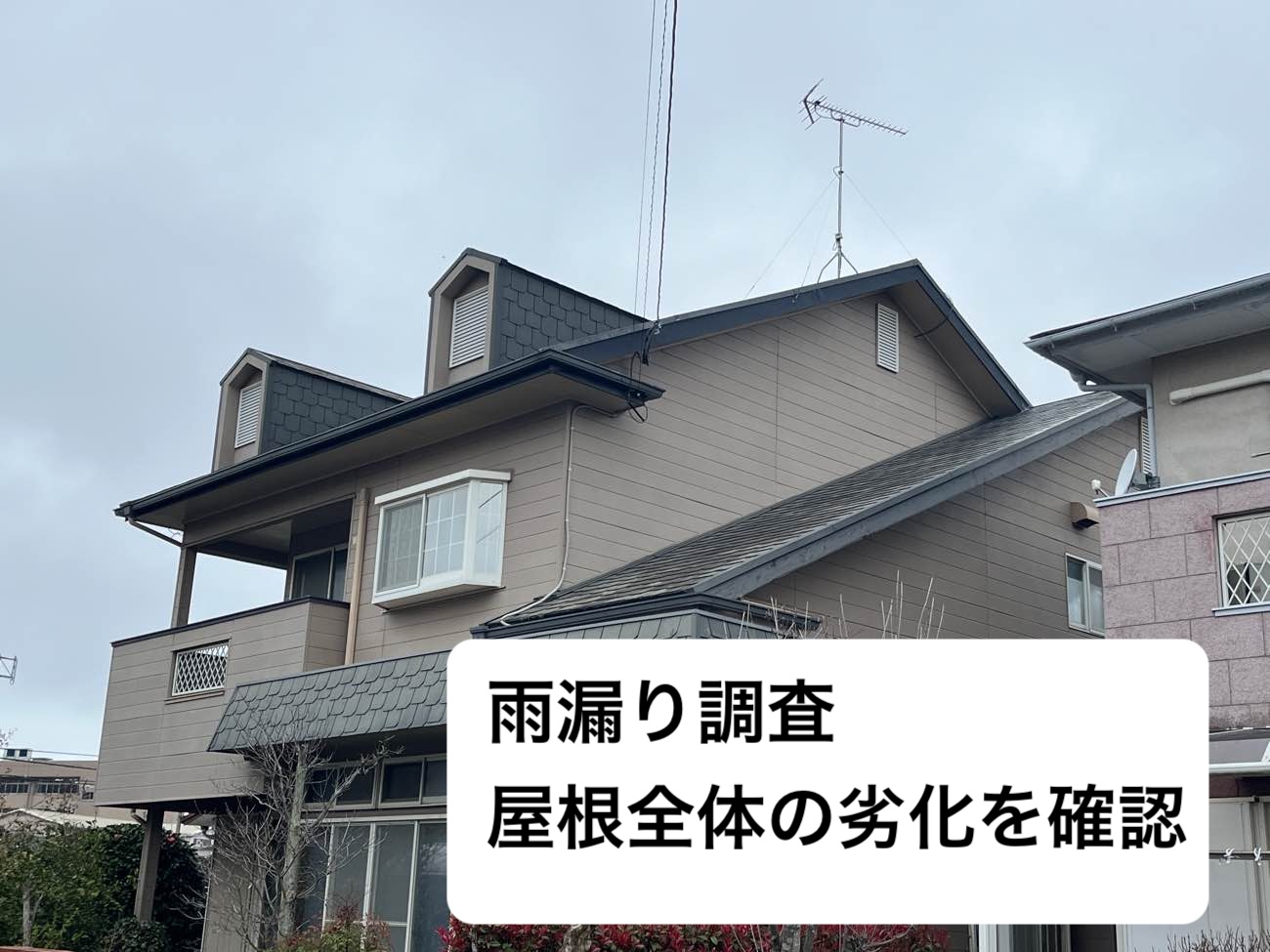 福岡市南区のドーマー付き住宅で雨漏り調査｜屋根全体に広がる苔を確認