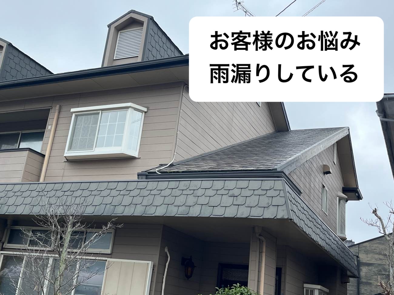 雨漏り調査