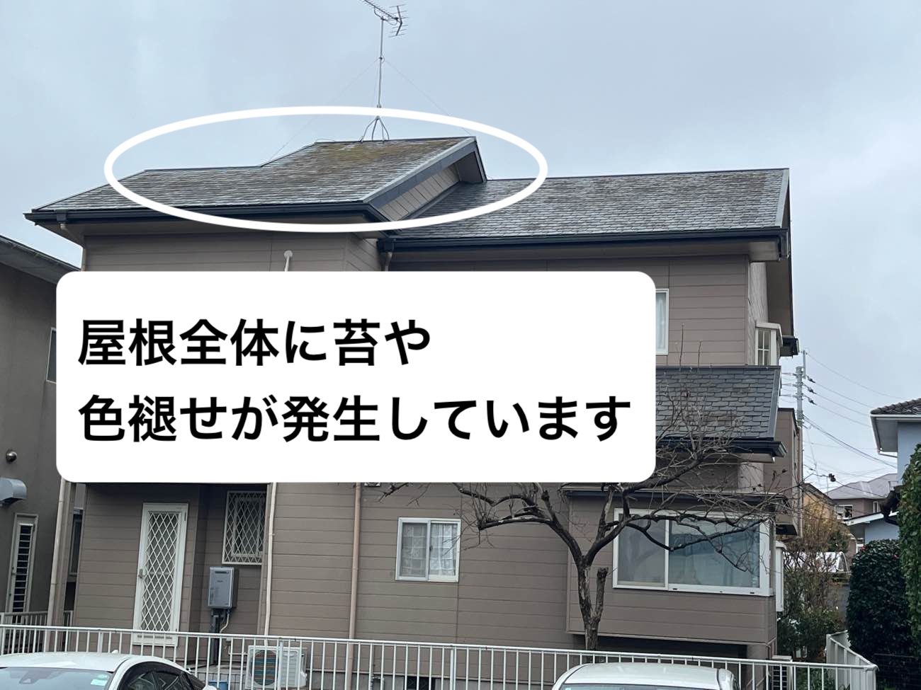 苔や色褪せが発生している屋根