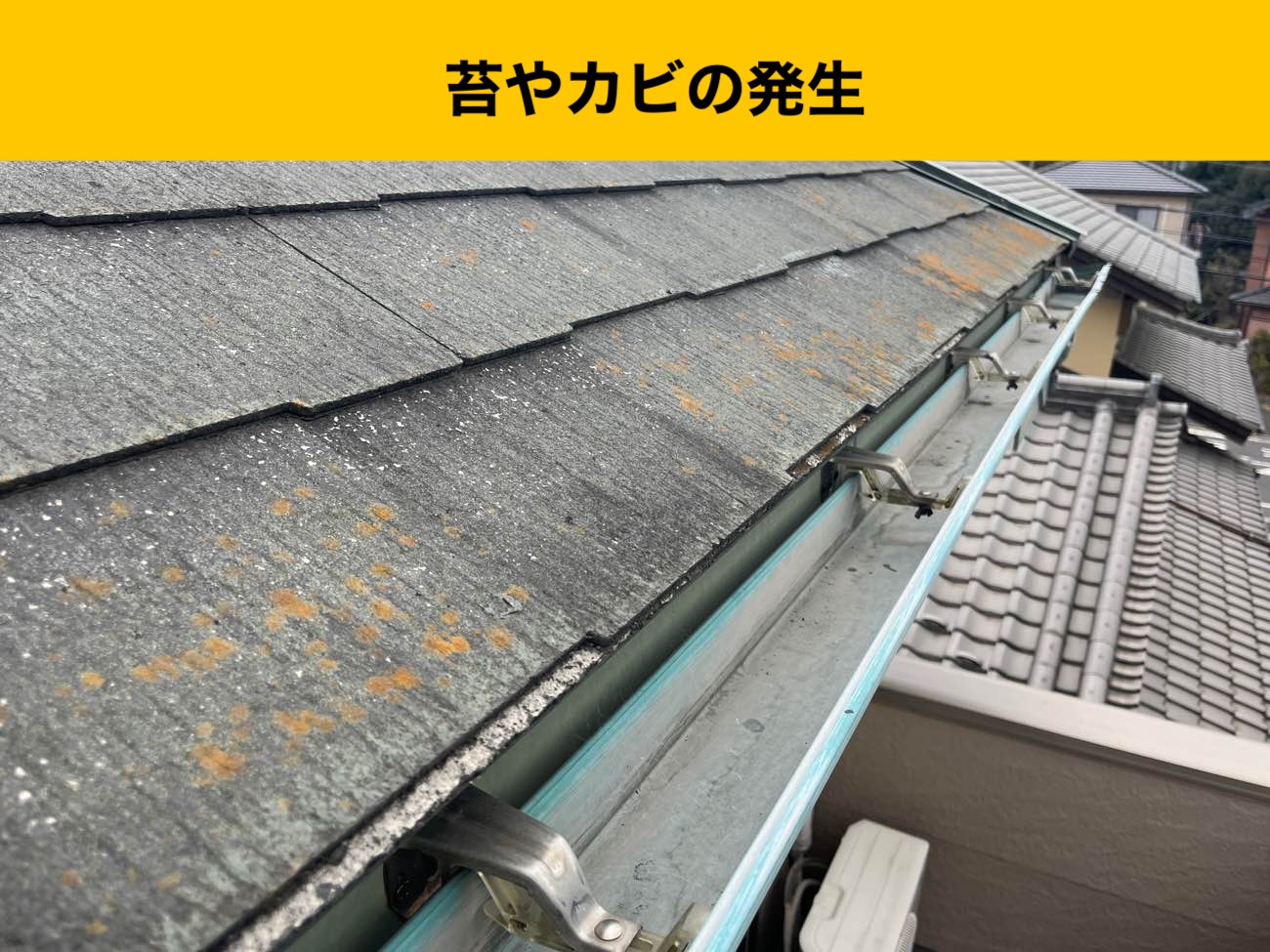 城南区の屋根の苔