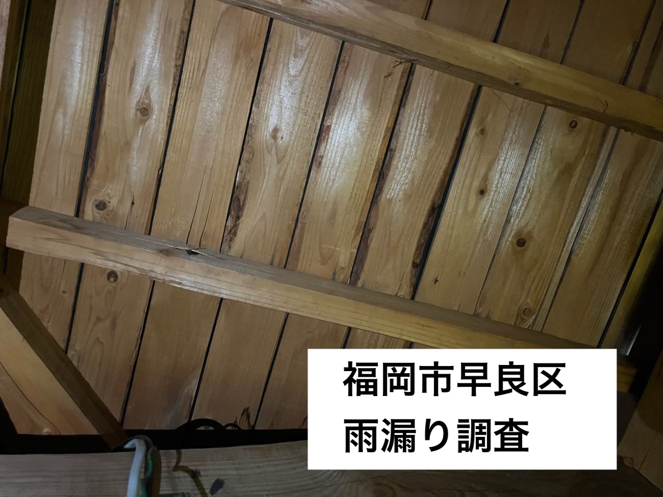 福岡市早良区｜築40年の瓦屋根住宅で雨漏り発生｜天井裏に黒く広がるシミと漆喰の劣化を確認