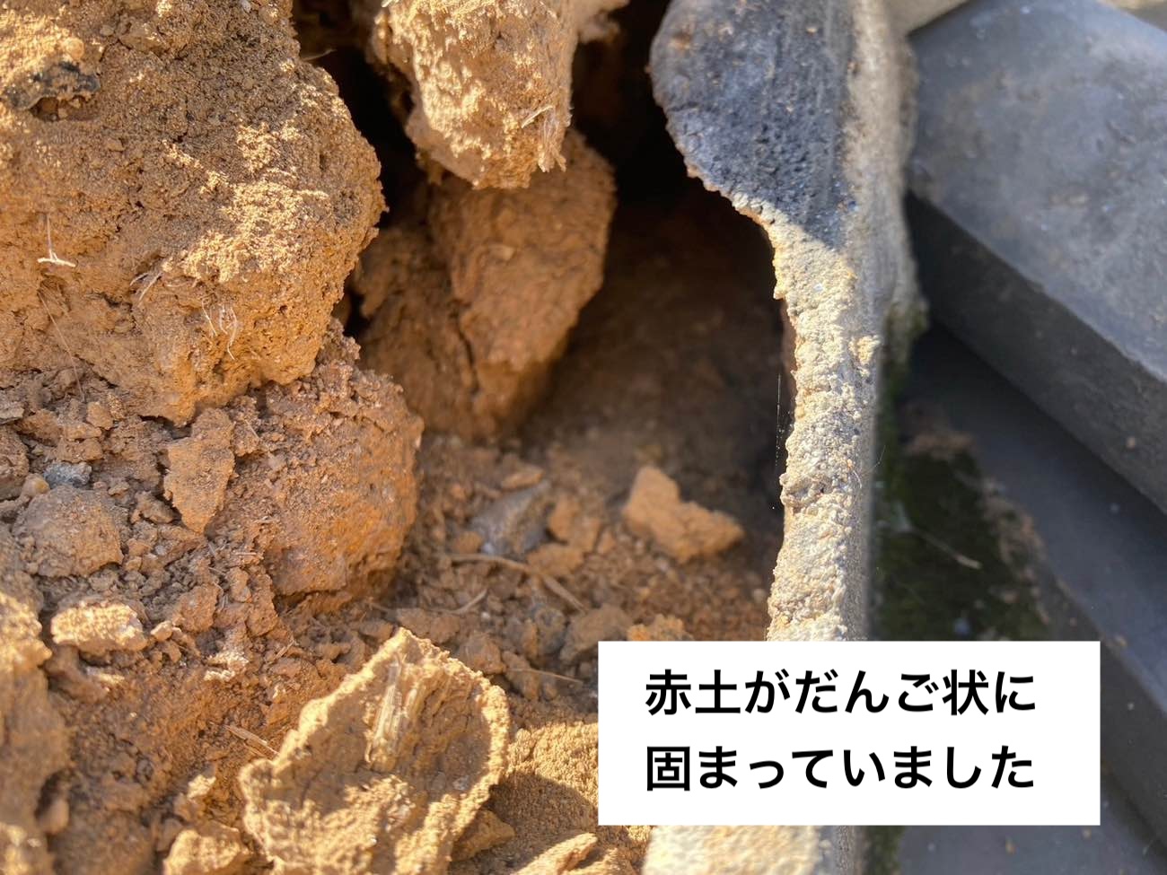 棟の解体