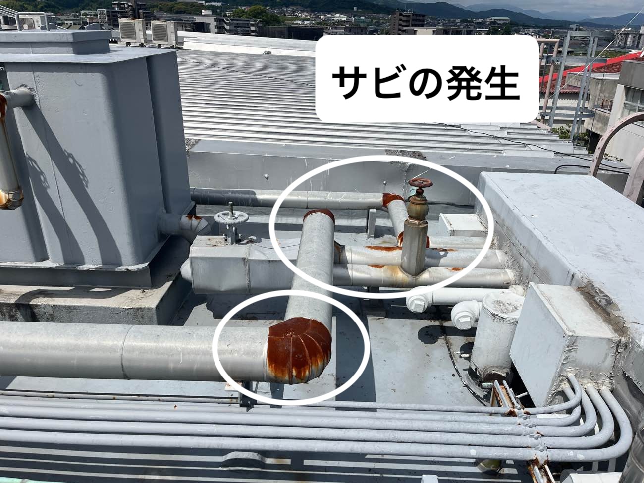 さび