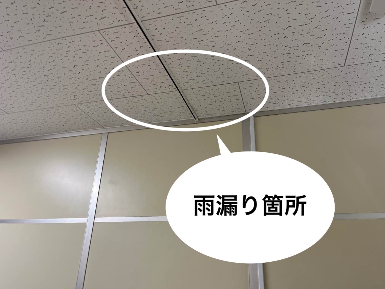 雨漏り箇所