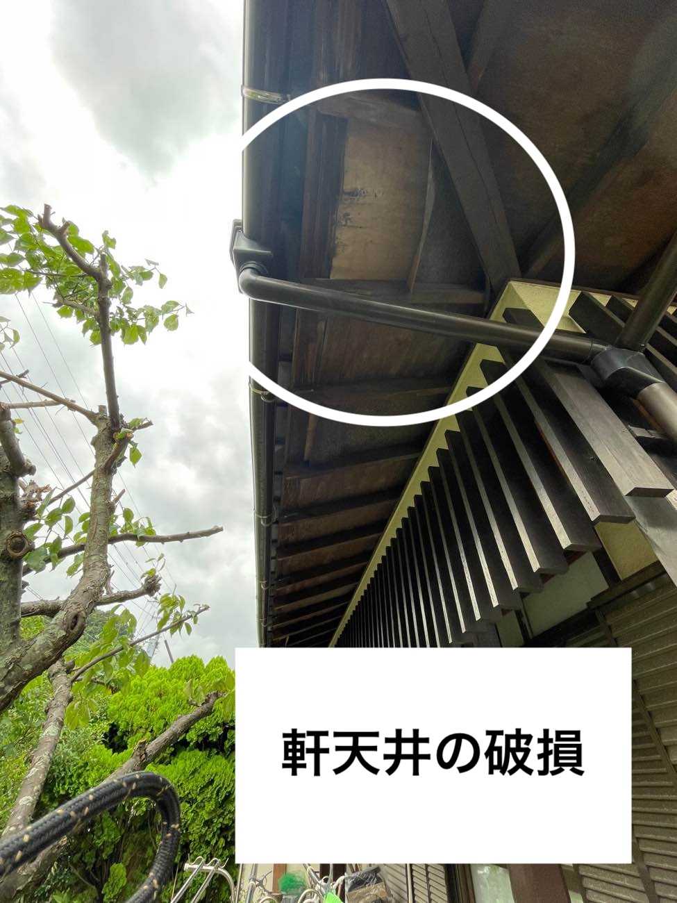 軒天の破損