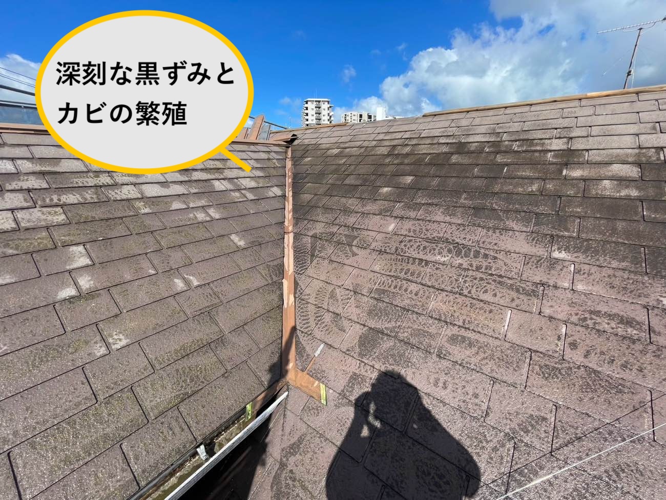 スレート屋根の黒ずみとカビの繁殖