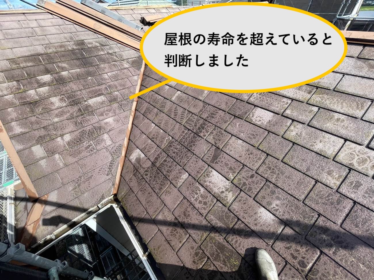 スレート屋根の黒ずみ
