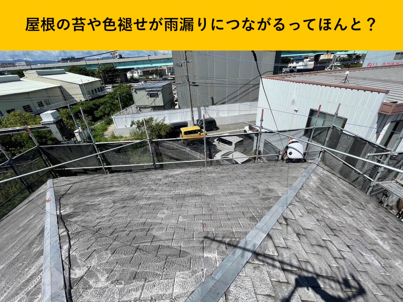 屋根の苔、色褪せ
