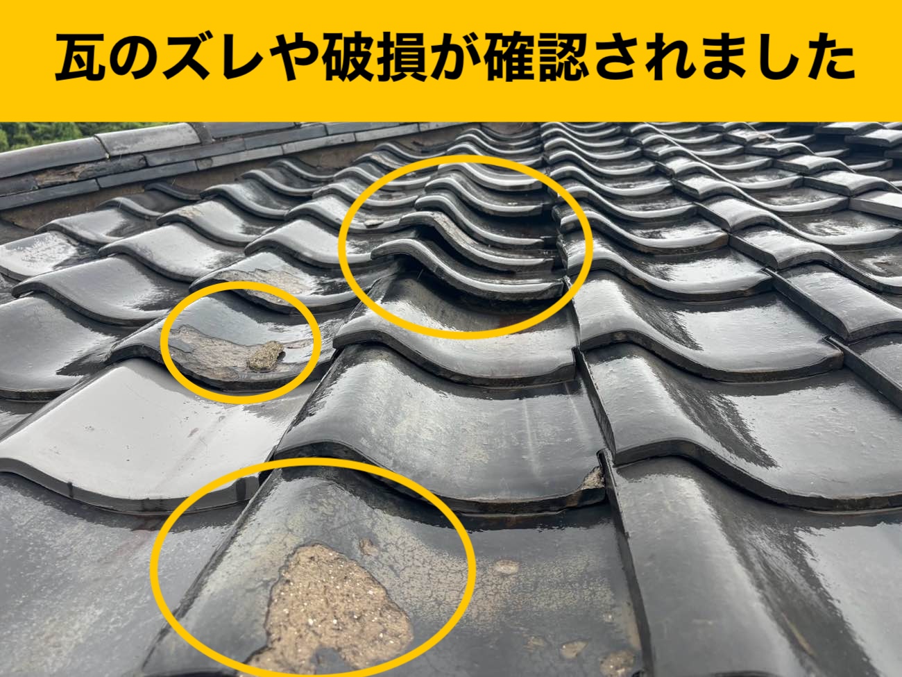 瓦のズレ・破損