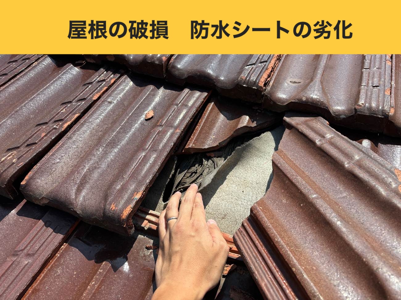 福岡市台風被害・屋根のひび割れ