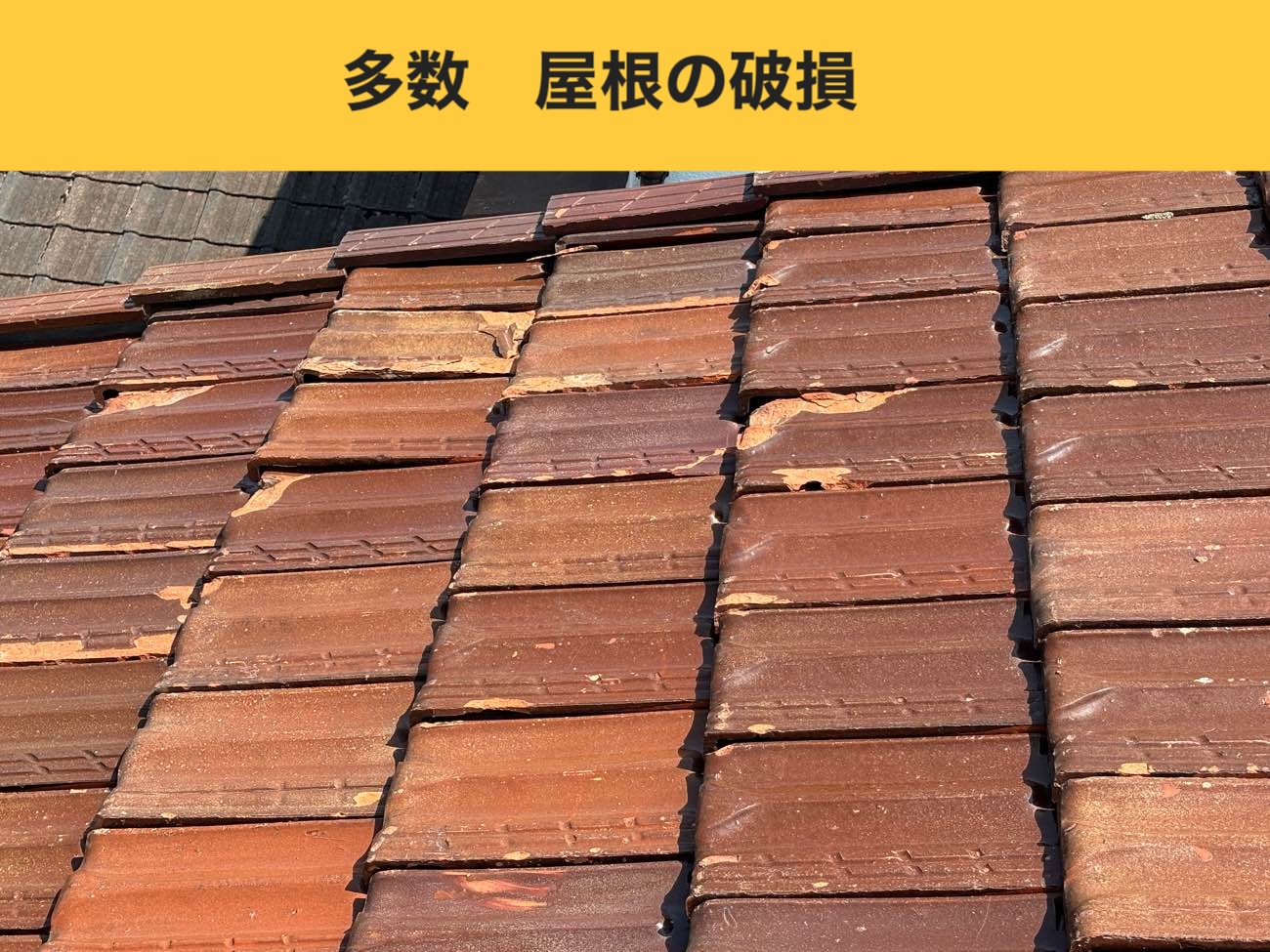 福岡市屋根の台風被害