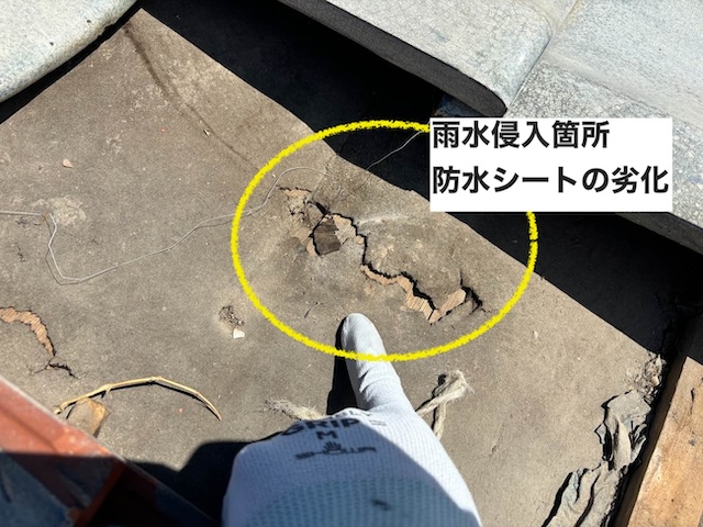 雨漏り・防水シートの劣化