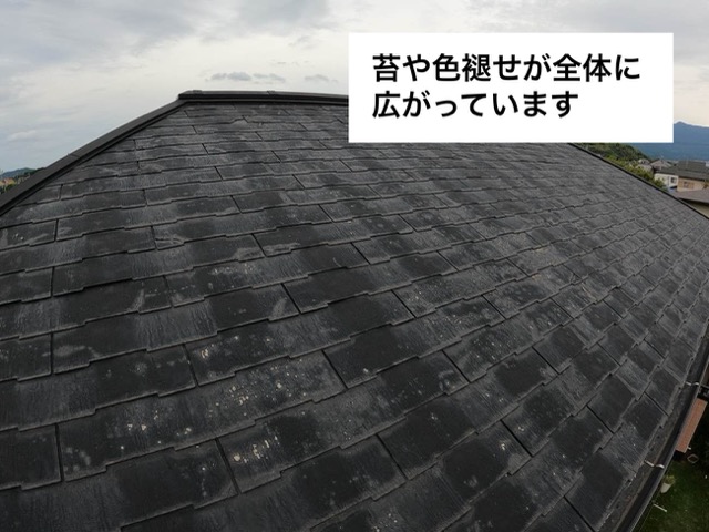 粕屋町の方へご紹介｜苔やひび割れ、色褪せが目立つスレート屋根の調査報告