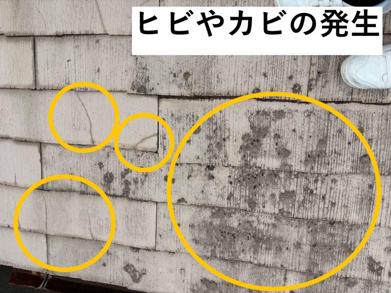 屋根材のひび割れとカビ
