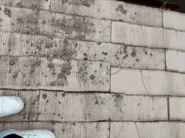 福岡市西区のスレート屋根のカビ