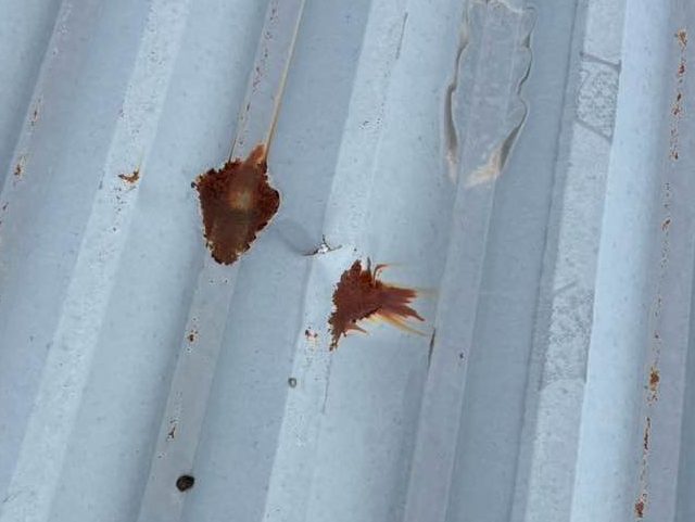 福岡市博多区の折板屋根の錆