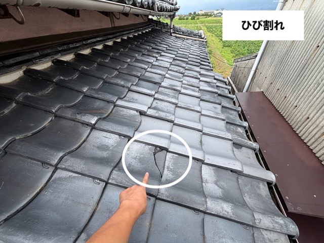 筑紫野市に方へご紹介｜瓦屋根住宅を調査｜屋根に生えた草と瓦の劣化を確認、雨漏りリスクの高い状態でした。