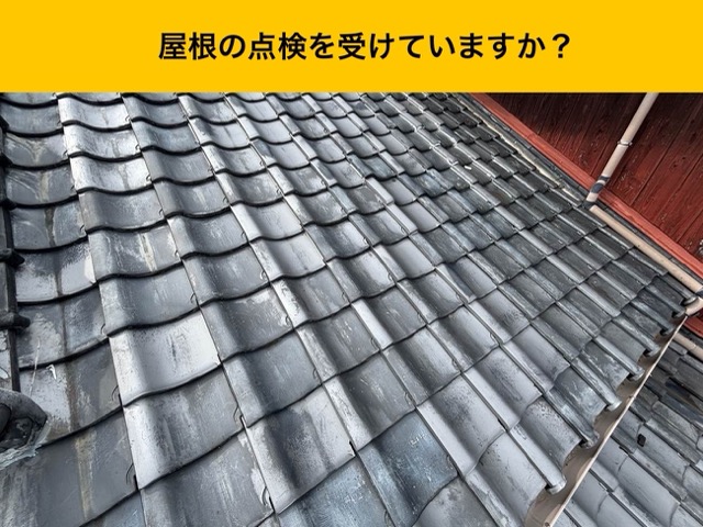 屋根定期点検