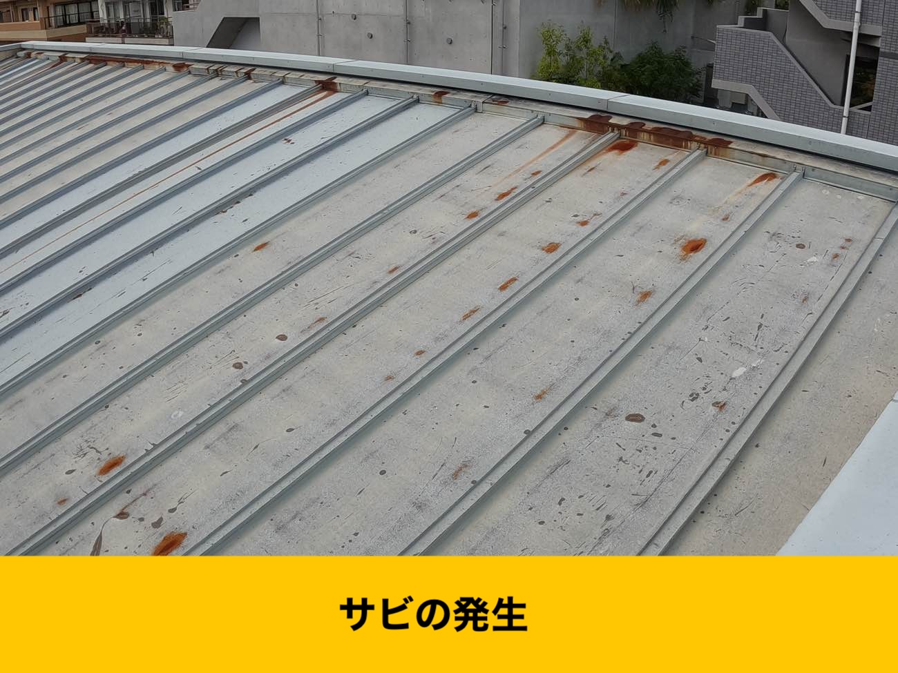 福岡市中央区雨漏り、カバー工法、３階建