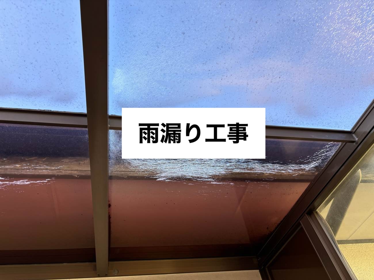 サンルーム屋根