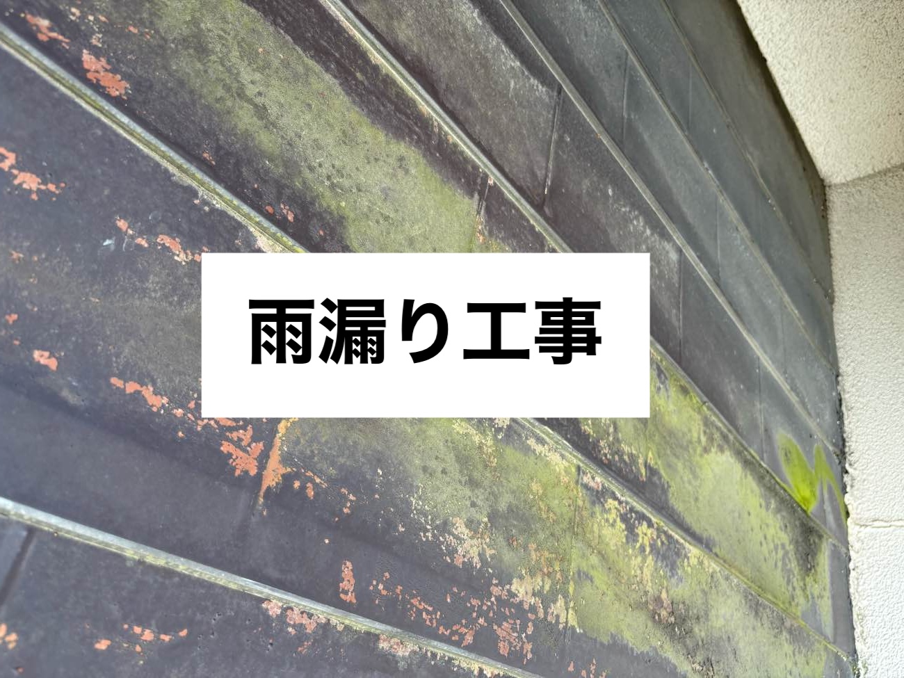 太宰府市雨漏り工事、金属屋根、腐食した屋根、ガルバリウム鋼板、福岡市屋根工事