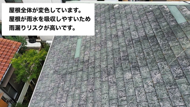 スレート屋根の変色