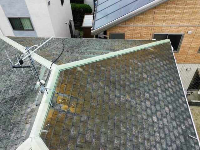 糸島市のびっしり苔が生えたスレート