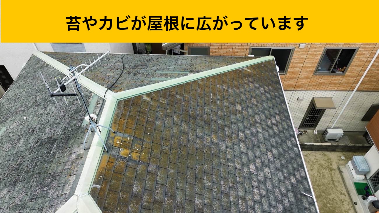 屋根に広がる劣化
