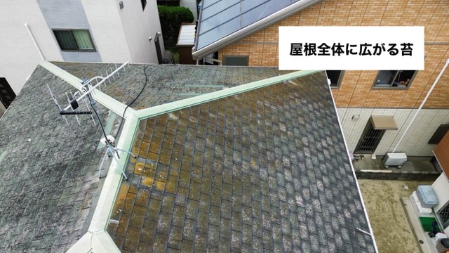 屋根全体に広がる劣化