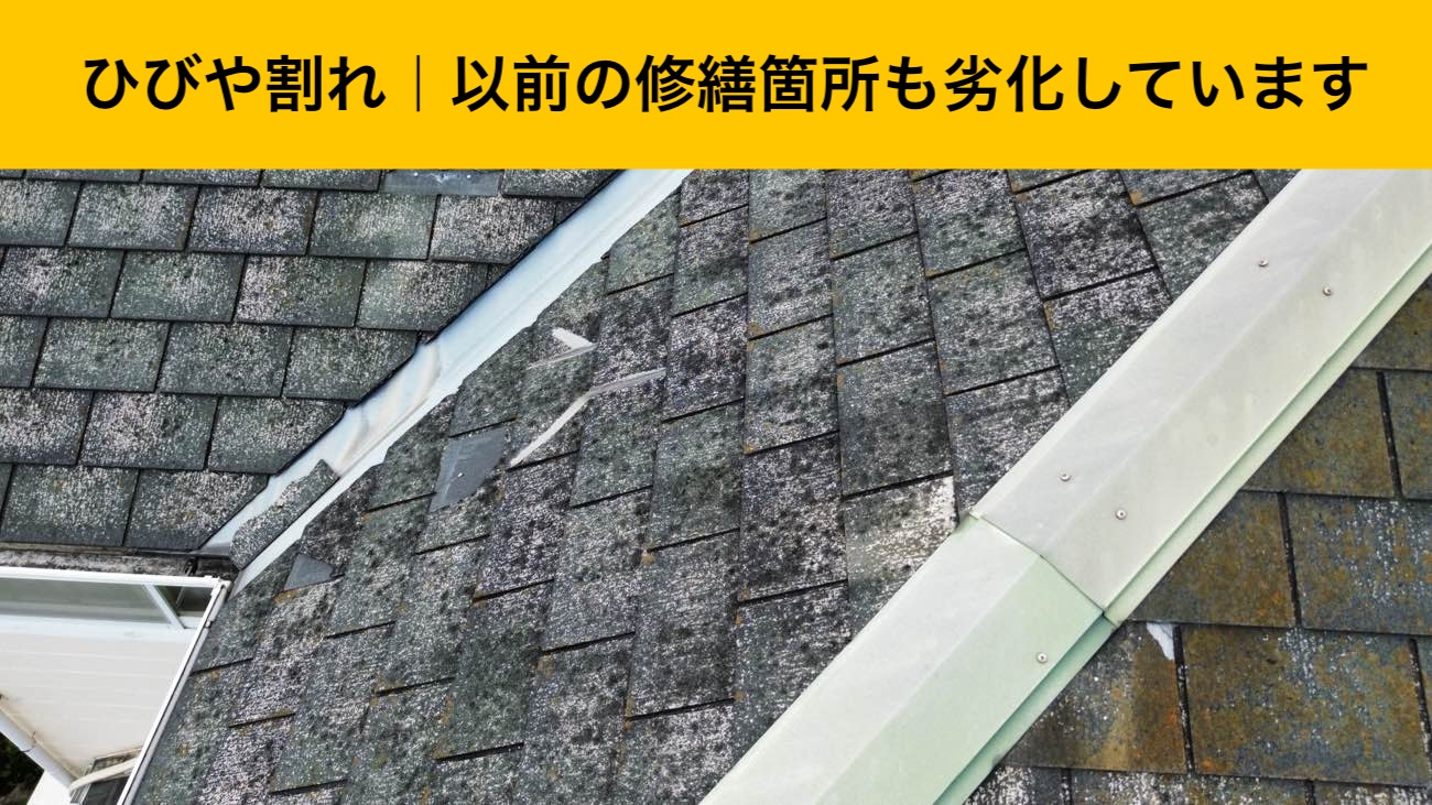 屋根の苔、カビ
