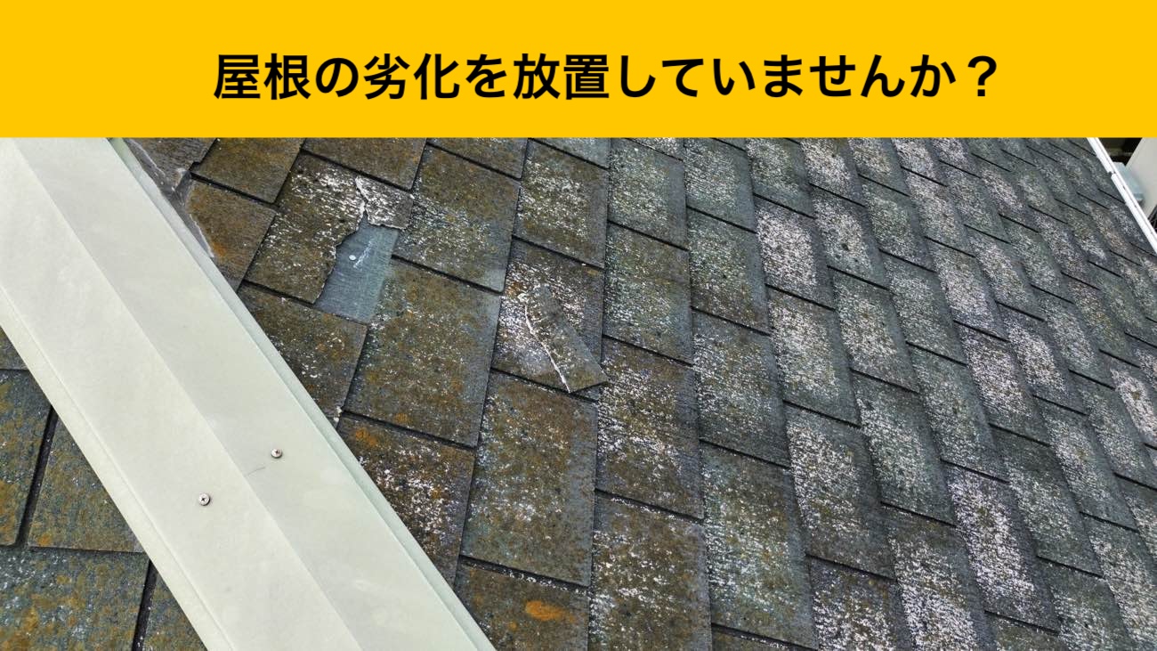 屋根の劣化、苔、カビ