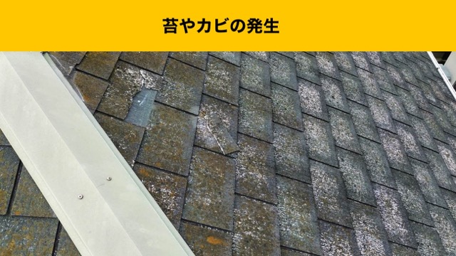 福岡市西区の皆様へ｜屋根全面に広がる苔やひび割れを一気に解決[屋根カバー工法]