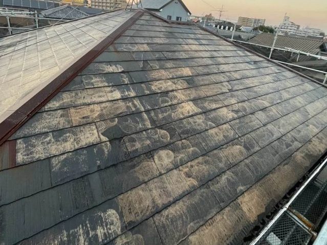 福岡市南区で台風被害による屋根調査。アスベストを含むスレートに苔とカビ、棟板金に錆を確認