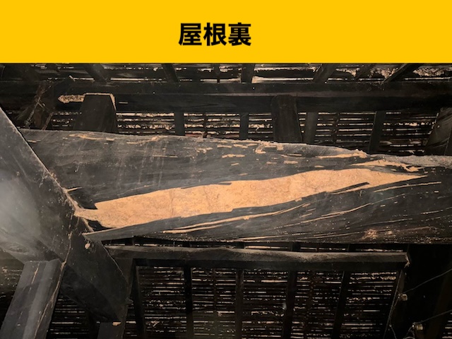 屋根、葺き替え工事