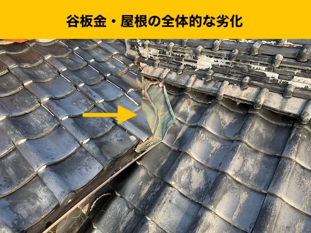 屋根に草が生えている