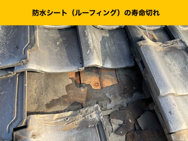 防水シートの劣化